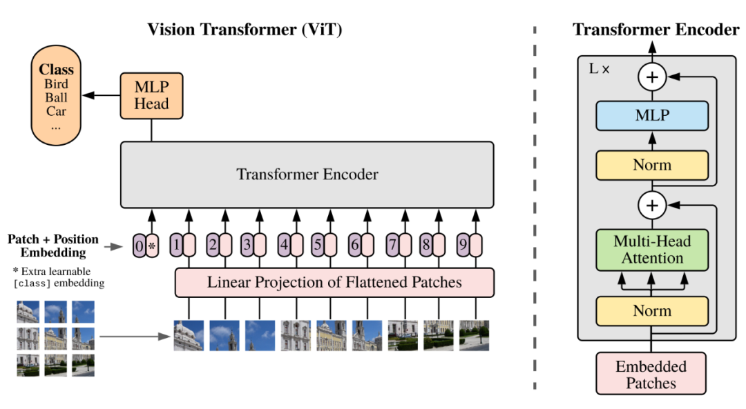 ViT (Vision Transformer)原理及代码解析